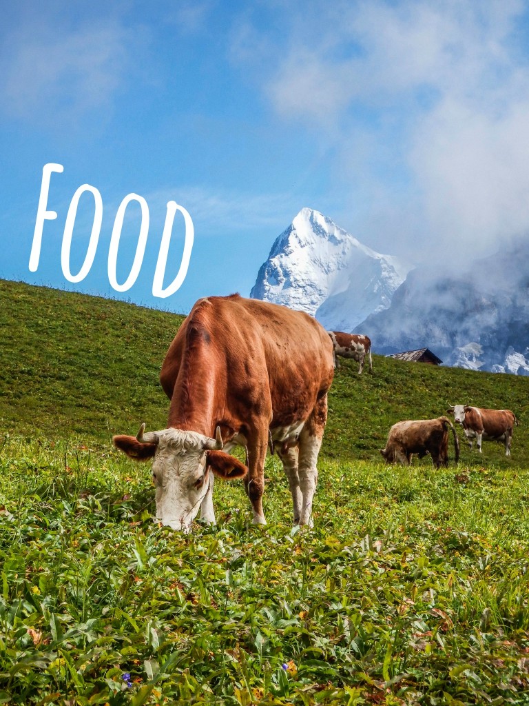 gimmelwald accommodations food