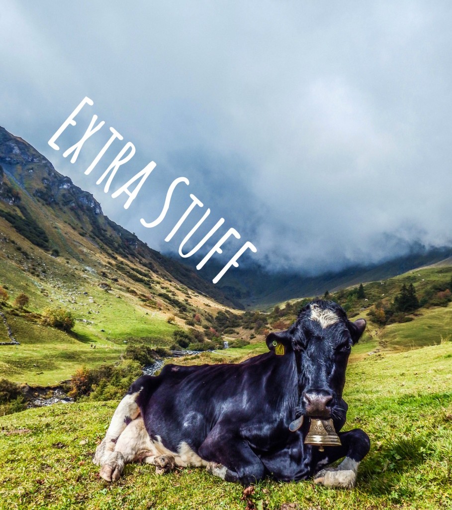 gimmelwald switzerland cow