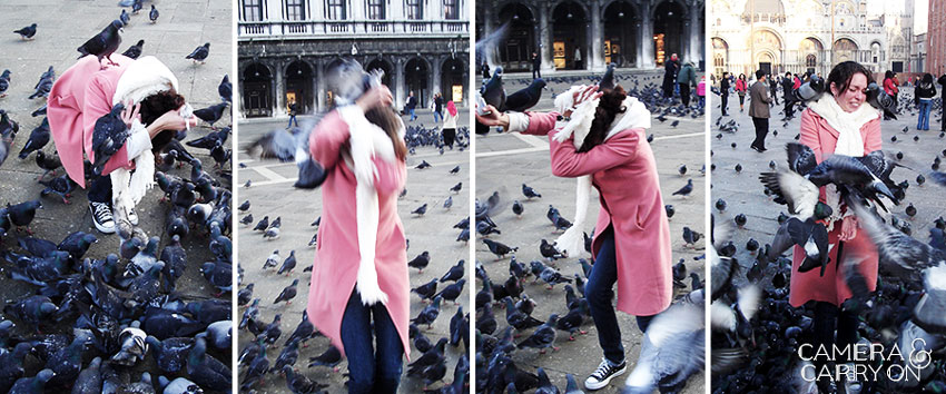 camera carry on pigeon attack