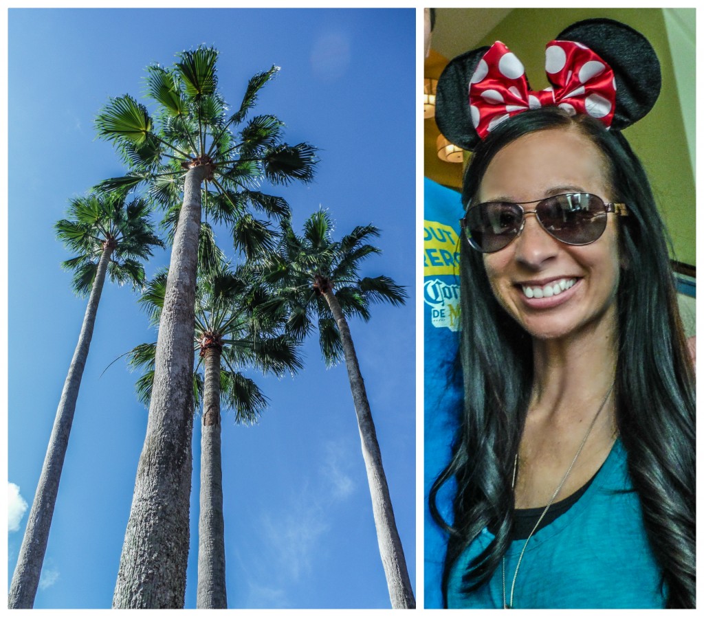 Palms trees and Minnie Mouse ears