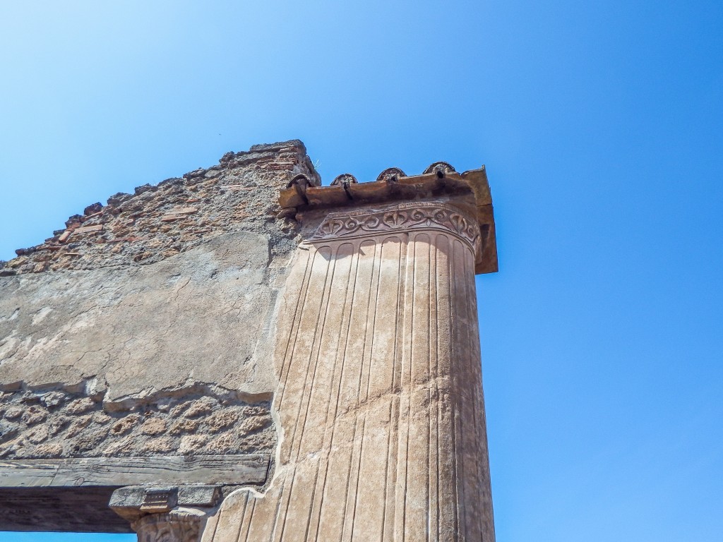 dog in pompeii essay dog associated with pompeii essay