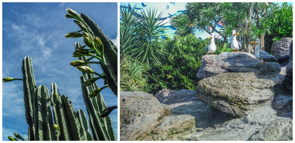 Cactus and Finding Nemo seagulls at EPCOT Food & Wine Festival