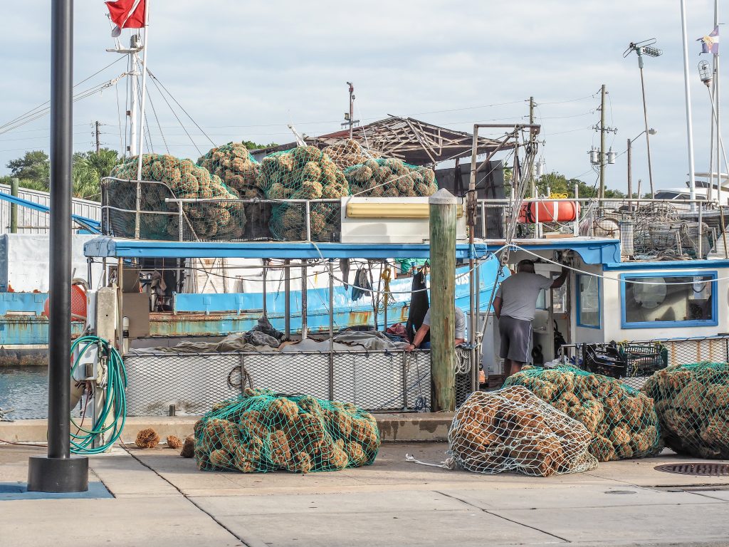 Greeking out at Florida�s Sponge Docks My Wanderlusty Life