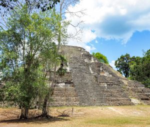 Belize to Tikal Day Trip: 17 Important Tips for Your Guatemala Day Tours