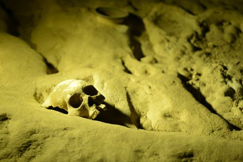 Ancient skeleton / Touring the ATM Cave in Belize: Tips, Advice, Expectations, and more