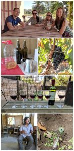 Wine Tasting in Chile: Casablanca vs. Maipo Valley