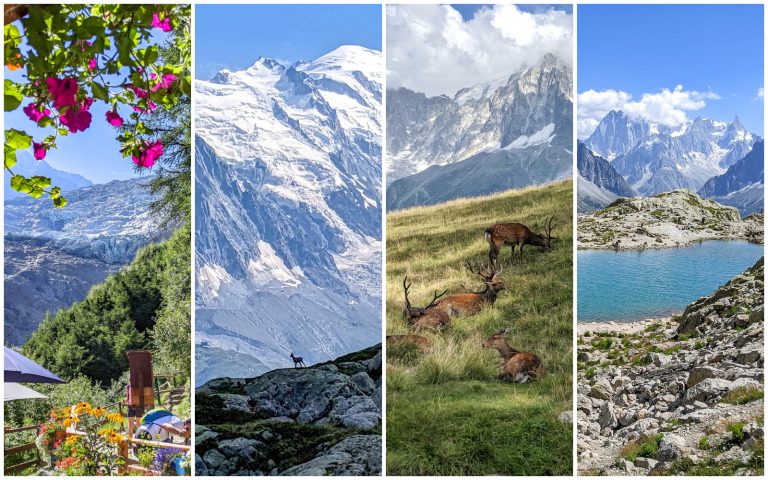 Best Hikes In Chamonix: 4 Easy to Moderate Hiking Trails + Tips