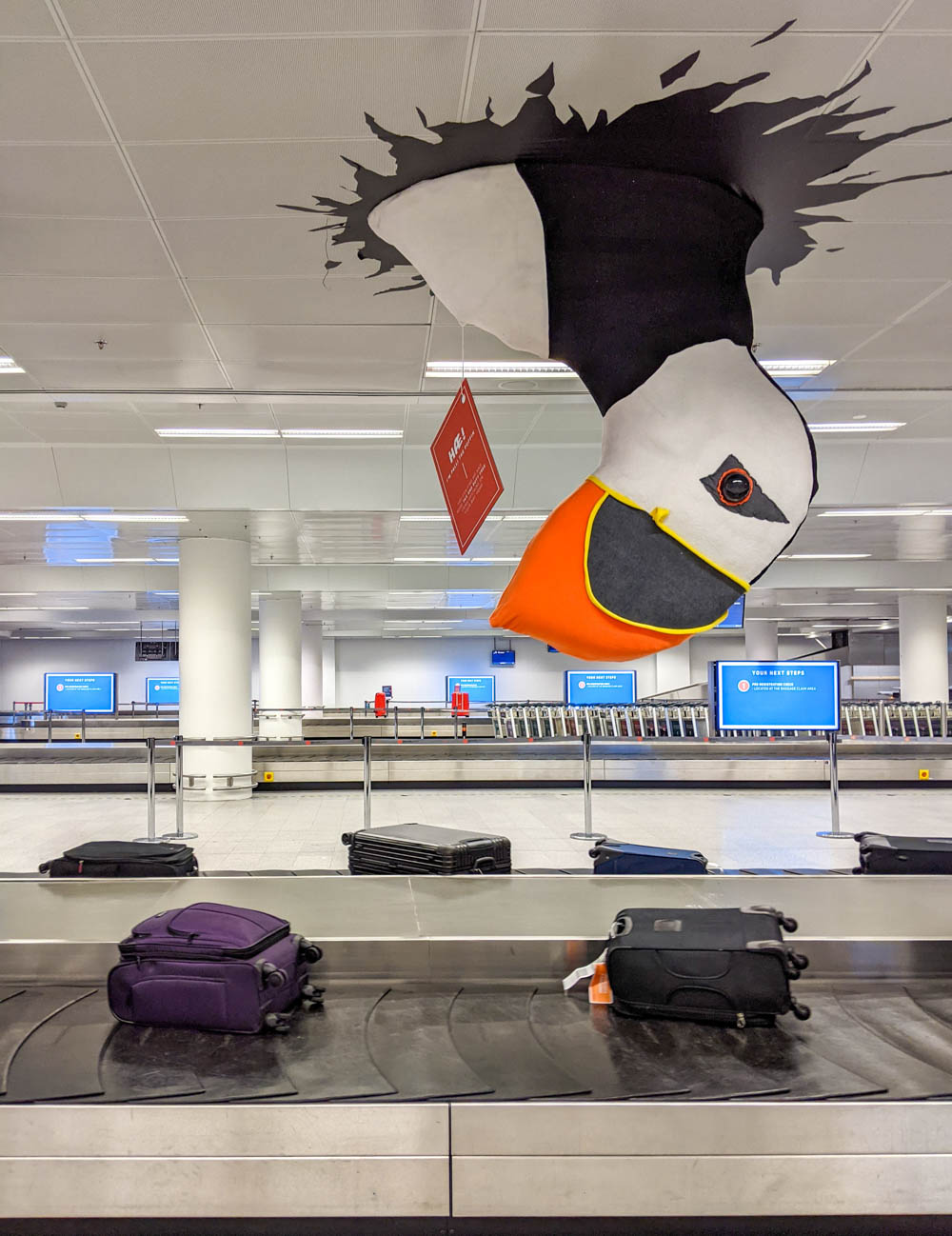 giant puffin popping out of the ceiling above baggage claim area