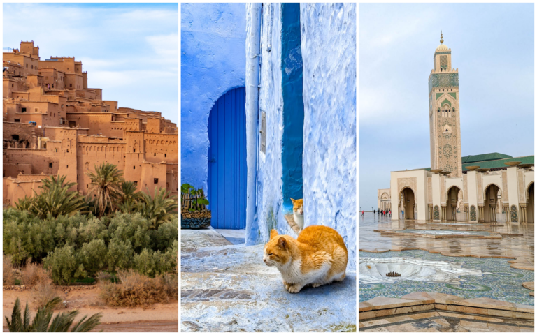 three images: an ancient kasbah, an orange cat sitting in front of a blue door, and a tan and green mosque on an overcast day