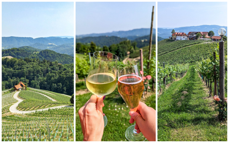 How to Go Wine Tasting in Slovenia: 3 Really Fun Wineries (+2 More Must-Try Experiences)